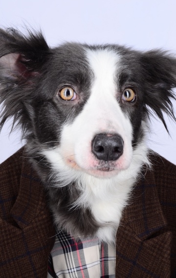 Фото актера