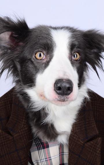 Фото актера